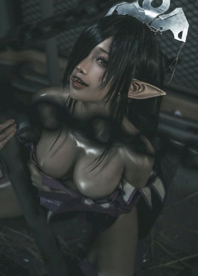 食物链完整版